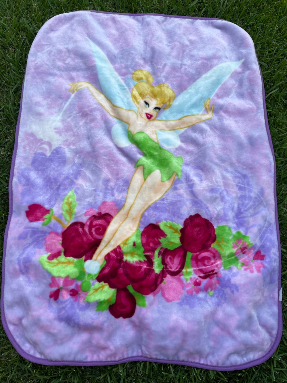 Tinker Bell Floral Plush Throw Blanket - Purple & Green